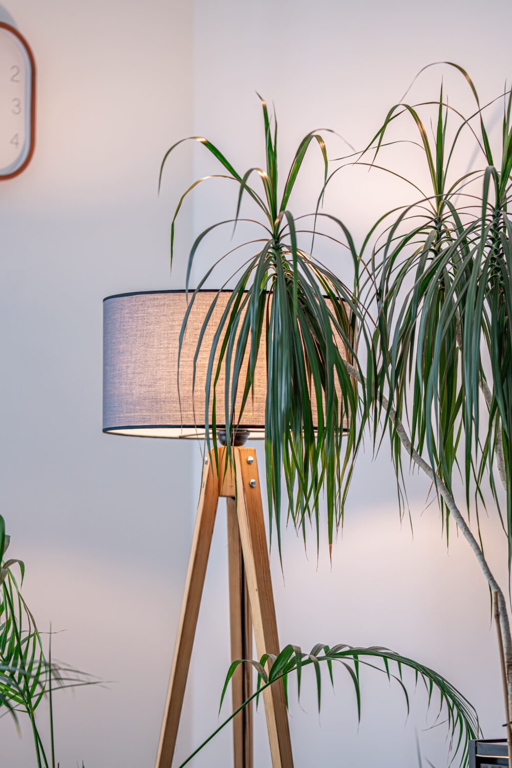 Warme Atmosphäre im Wartezimmer der JUNA GbR in Herten mit Stehlampe aus Holz und Zimmerpflanze — einladende Praxisumgebung für systemische Therapie und Beratung